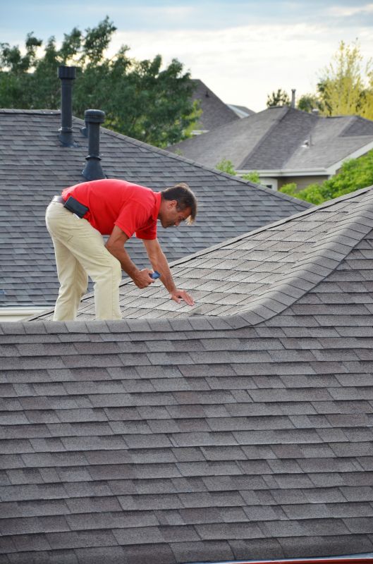 Professional Roofing Team